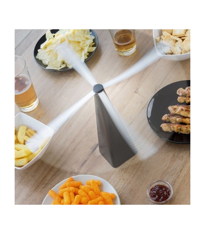 Répulsif anti-mouche écologique