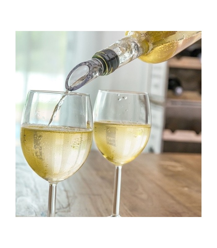 Rafraîchisseur Refroidisseur de vin avec bouchon verseur