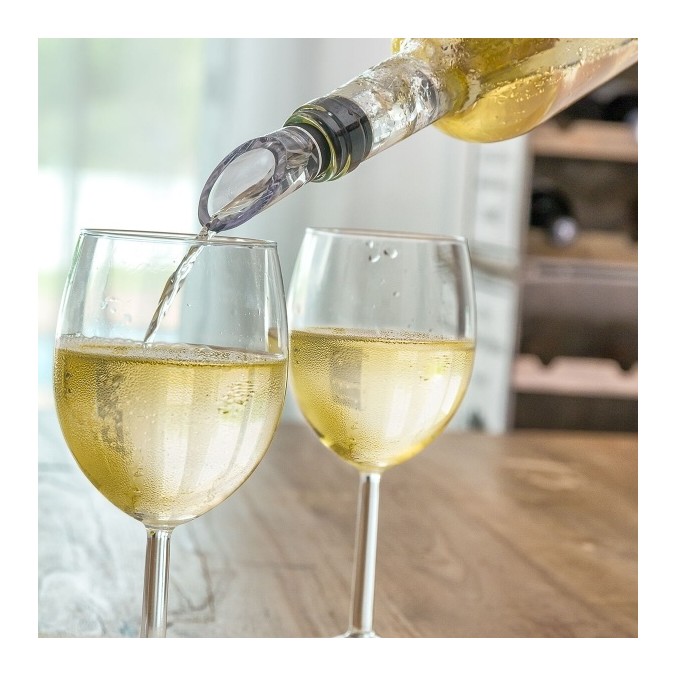 Rafraîchisseur Refroidisseur de vin avec bouchon verseur