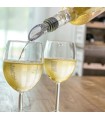 Rafraîchisseur Refroidisseur de vin avec bouchon verseur
