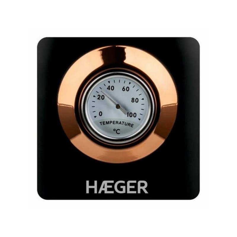 Bouilloire Théière Thermomètre Inox Noir 1,7L