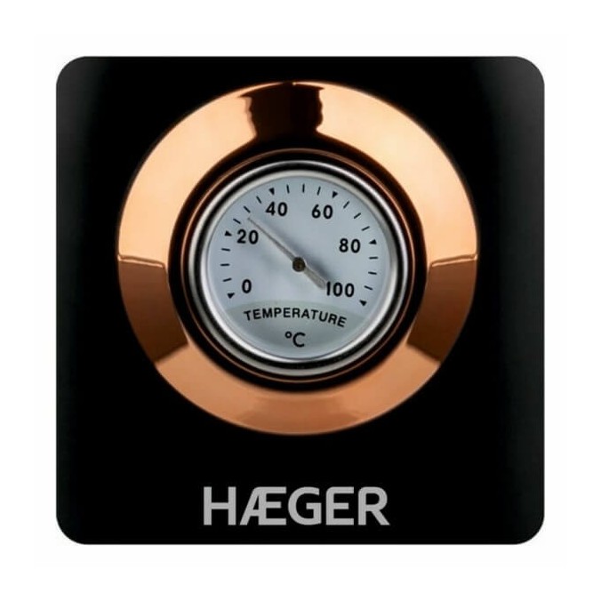 Bouilloire Théière Thermomètre Inox Noir 1,7L