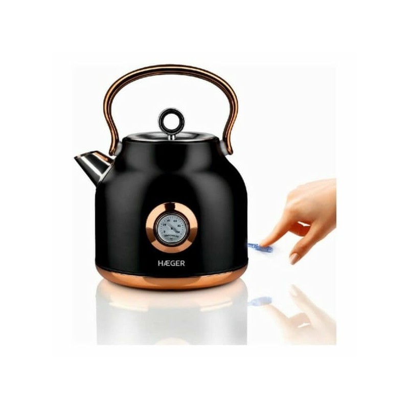 Bouilloire Théière Thermomètre Inox Noir 1,7L