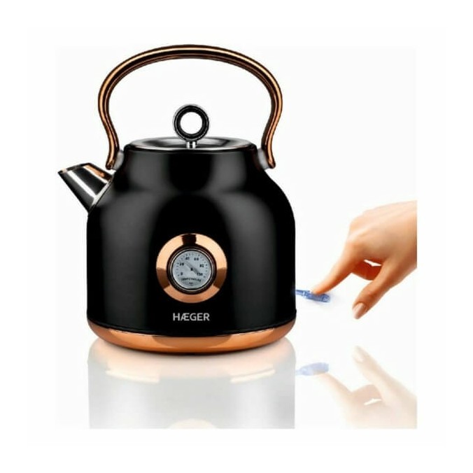 Bouilloire Théière Thermomètre Inox Noir 1,7L