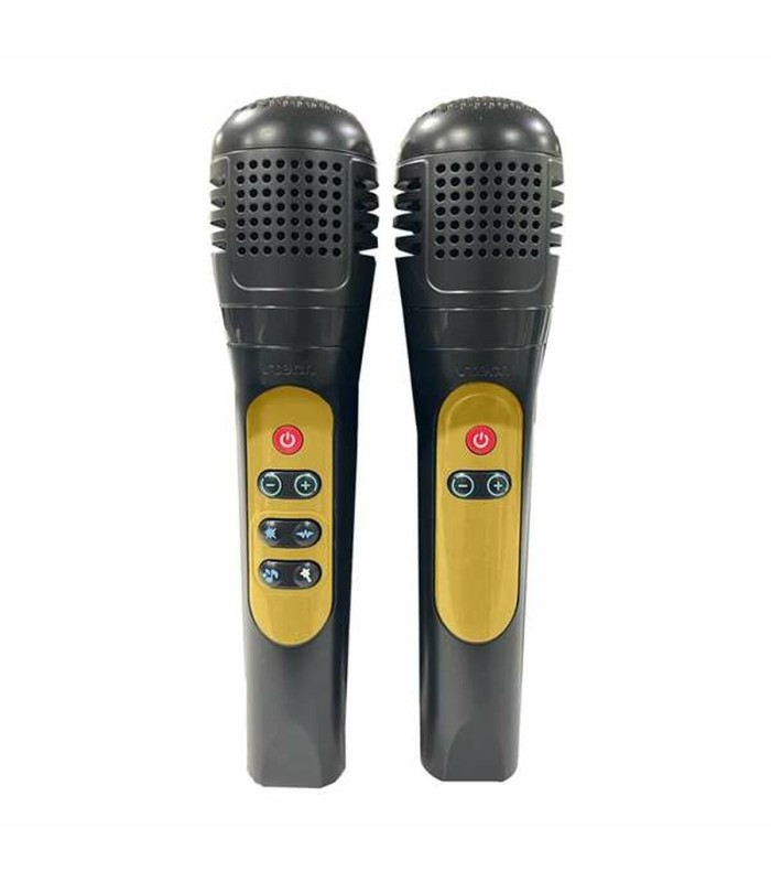 Enceinte bluetooth karaoké 🎤 - duo VTech noir, 2 micros