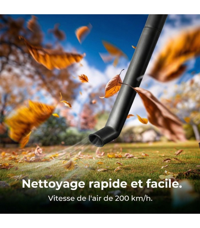 Aspirateur Souffleur sans fil Cecotec 🍃 - aspire/gonfle 21V, pratique