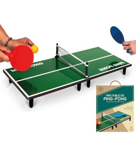 TABLE DE PING PONG 60X30 CM