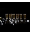 Coffret 6 verres à shot 🥃 - le choix chic des apéros réussis