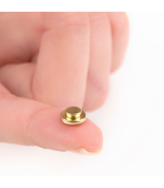 Aimant Anti-tabac d'Acupression InnovaGoods