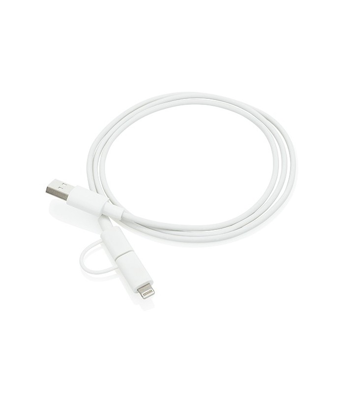 Chargeur IPhone et micro USB