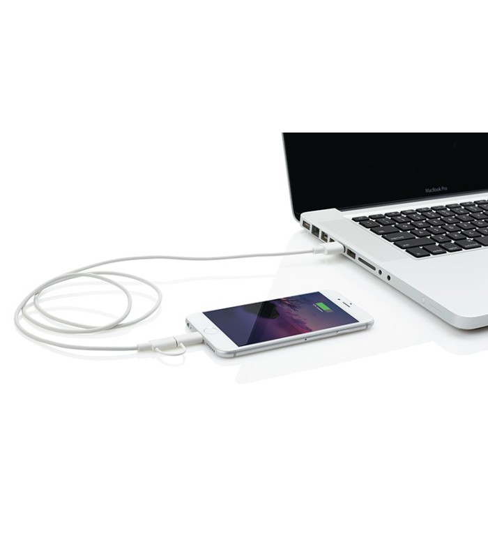 Chargeur IPhone et micro USB