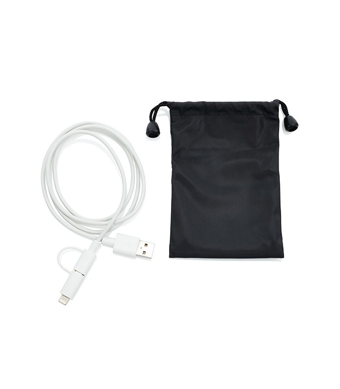 Chargeur IPhone et micro USB