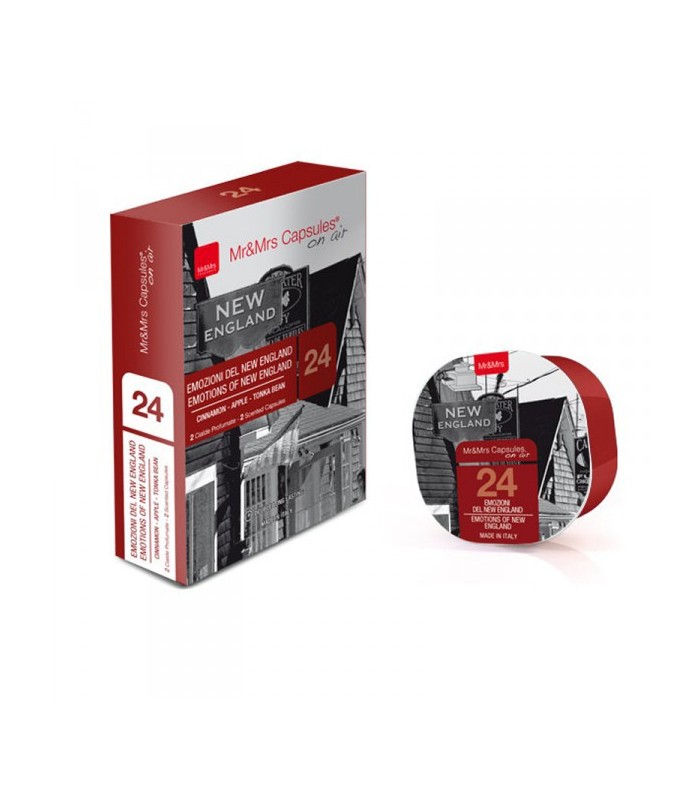 2 capsules pour diffuseur de parfum George new england