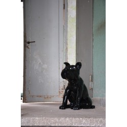 Bulldog français noir