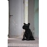 Bulldog français noir