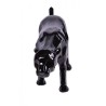 Puma noir