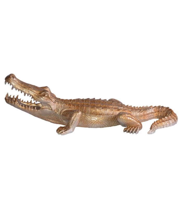 Crocodile doré