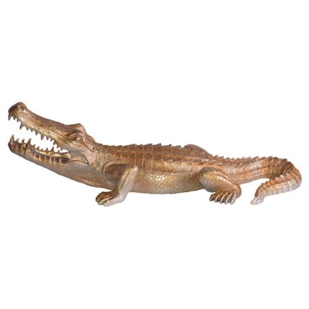 Crocodile doré