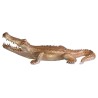 Crocodile doré