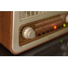 Radio rétro 50's