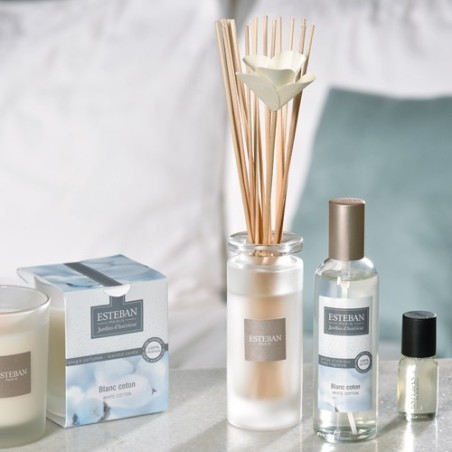 Bouquet parfumé soliflore Blanc Coton