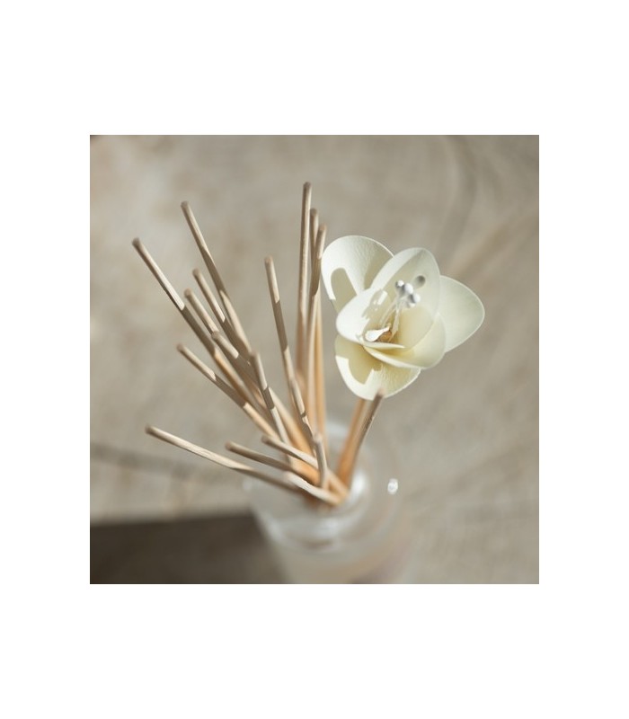 Bouquet parfumé soliflore Figue et Bois