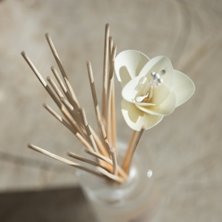 Bouquet parfumé soliflore Figue et Bois