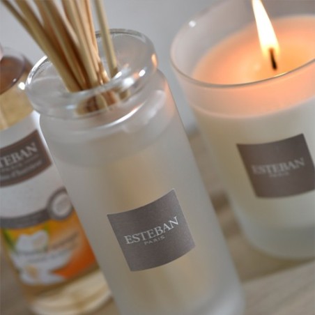 Bouquet parfumé soliflore Figue et Bois