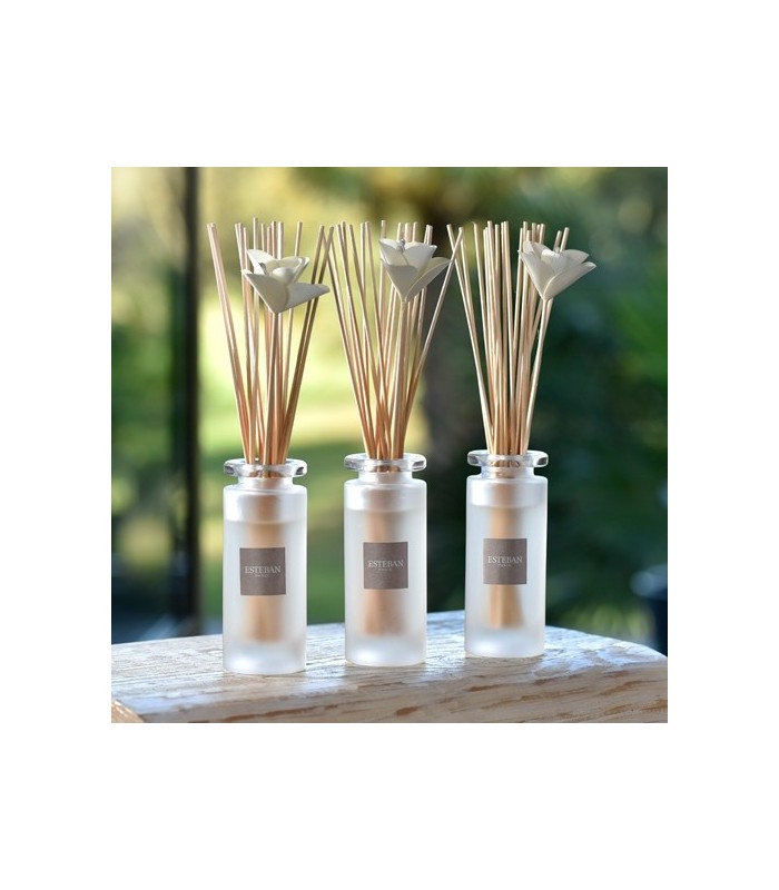 Bouquet parfumé soliflore Fleurs d'Oranger