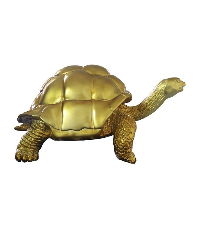 Tortue gold