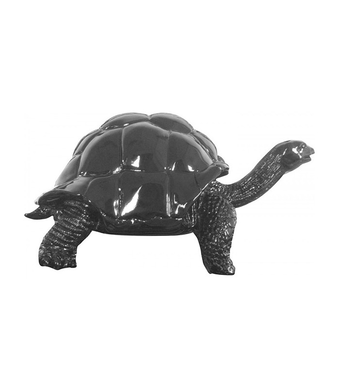 Tortue black