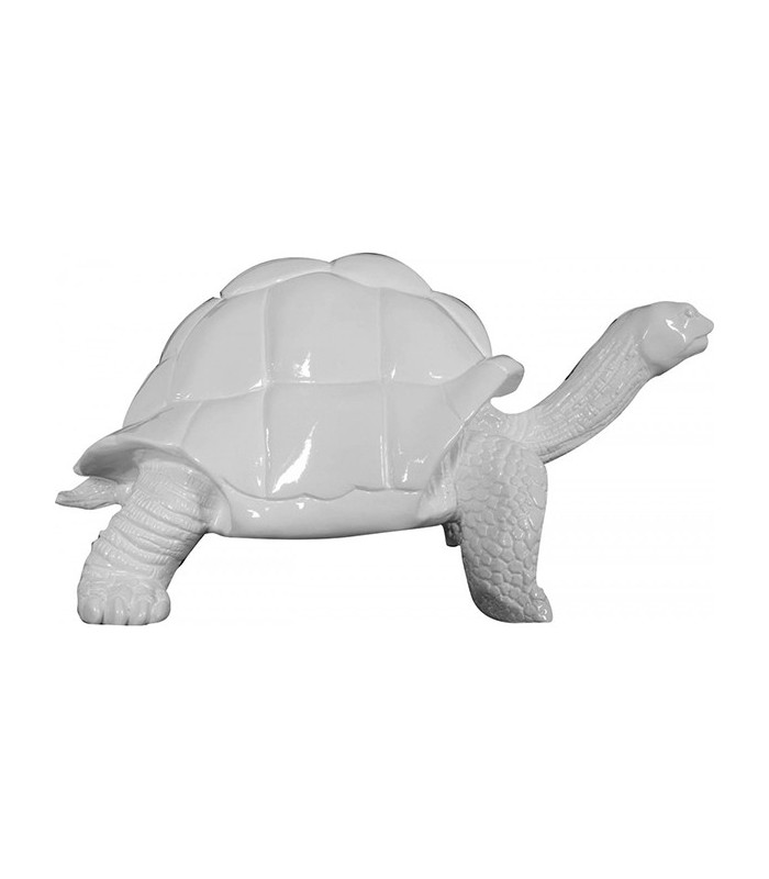 Tortue white