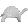 Tortue white