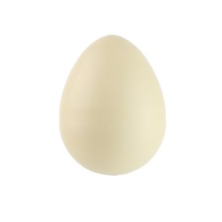 Oeuf poussin grossissant