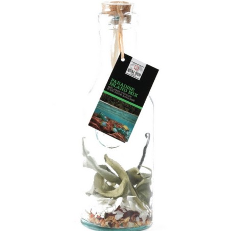 Carafe Paradise Island Mix