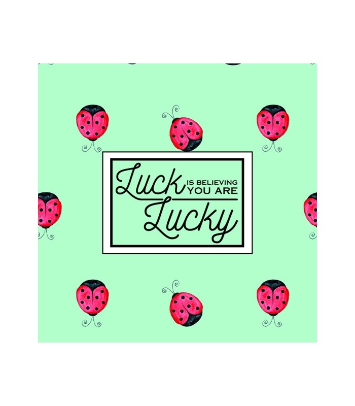 Nettoie-lunettes appareil photo "Collect Moments Not Things"