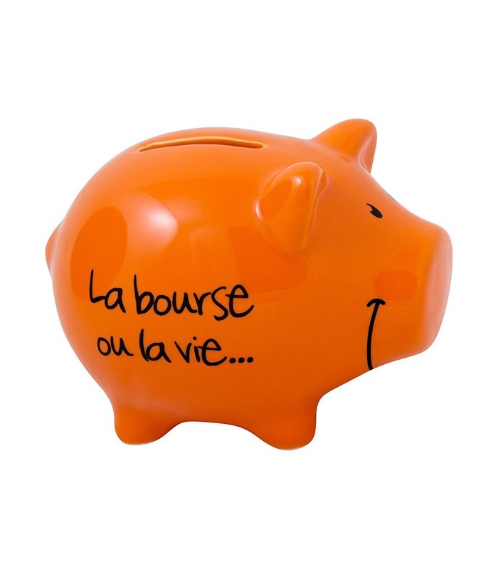 Tirelire Cochon "Futur Milliardaire", argent
