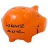 Tirelire Cochon "Futur Milliardaire", argent