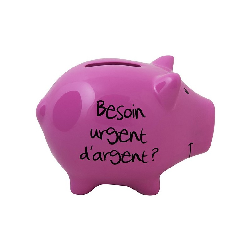 Tirelire Cochon "Futur Milliardaire", argent