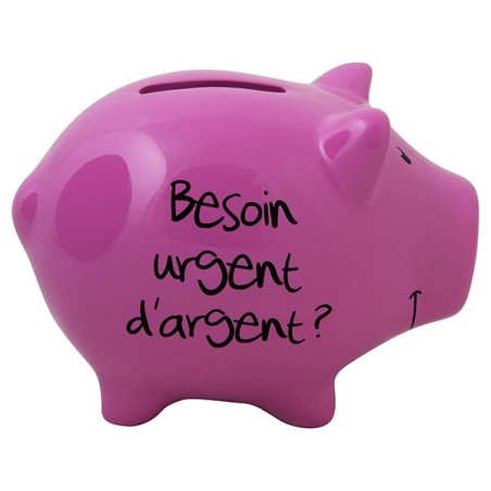Tirelire Cochon "Besoin urgent d'argent ?", rose