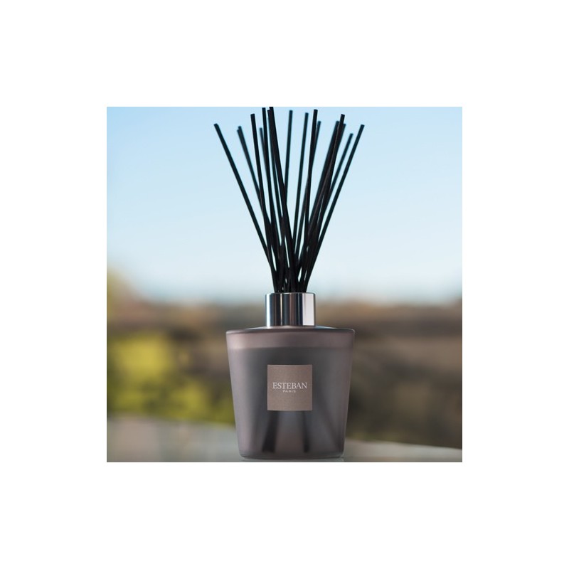 Bouquet parfumé Gris Prestige figue et bois Esteban