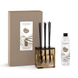 Bouquet parfumé Triptyque + recharge 250ml Rêve Blanc Esteban