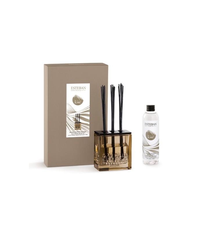 Bouquet parfumé Triptyque + recharge 250ml Rêve Blanc Esteban