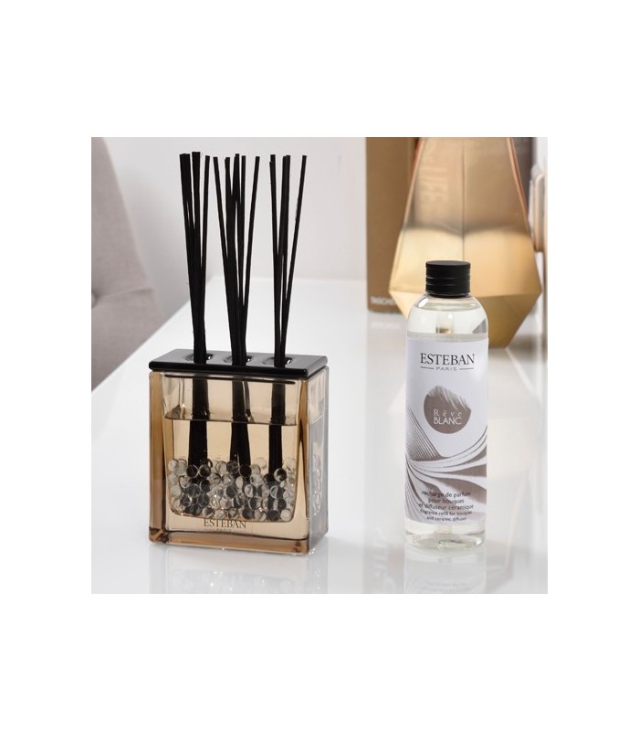 Bouquet parfumé Triptyque + recharge 250ml Rêve Blanc Esteban