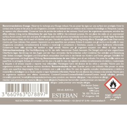 Bouquet parfumé Triptyque + recharge 250ml Rêve Blanc Esteban