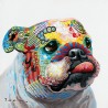 Toile Bulldog 60 cm x 60 cm