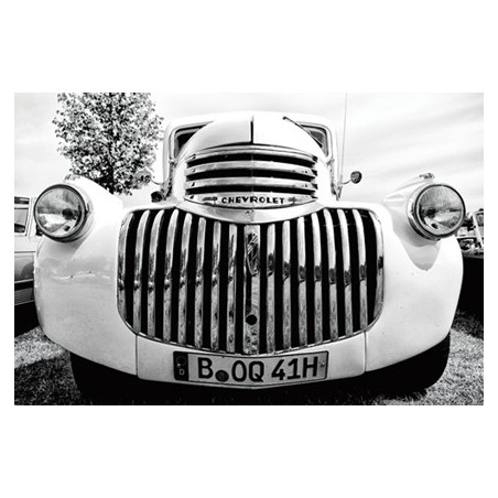 Toile Bulldog 60 cm x 60 cm