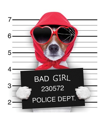 Impression sur verre 40 cm x 40 cm Bad Girl