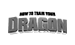 How to Train Your Dragon